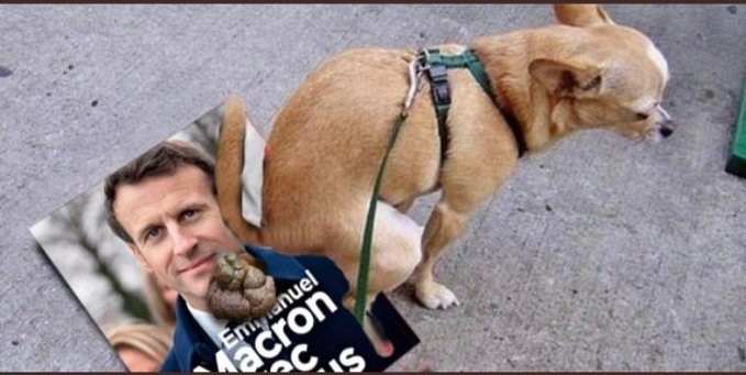 Macron, on t'emmerde. Le fléau de la République #macronontemmerde