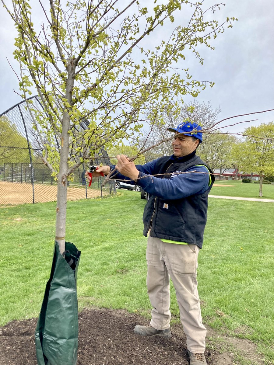 EvanstonPublicWorks tweet media