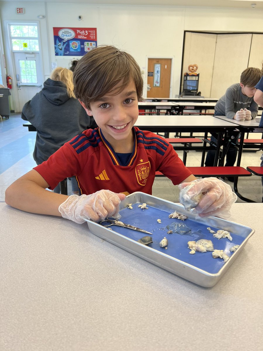 Ms. Mueller tweet media