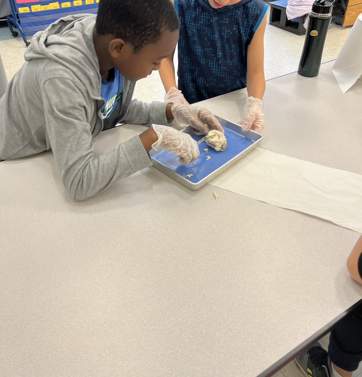 Ms. Mueller tweet media