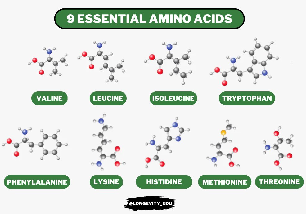9 Essential Amino Acids make up EVERY molecule in your body. Here's how