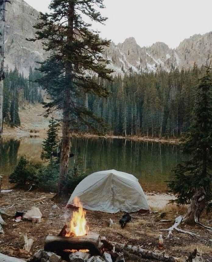 whealthmovement's tweet photo. Did you know that spending time in nature can lower blood pressure, reduce stress and anxiety, and improve your mood? 🌻🐦🏞️ #healthbenefits #naturelover #getoutside #whealthmovement https://t.co/cbWkttoZPM
