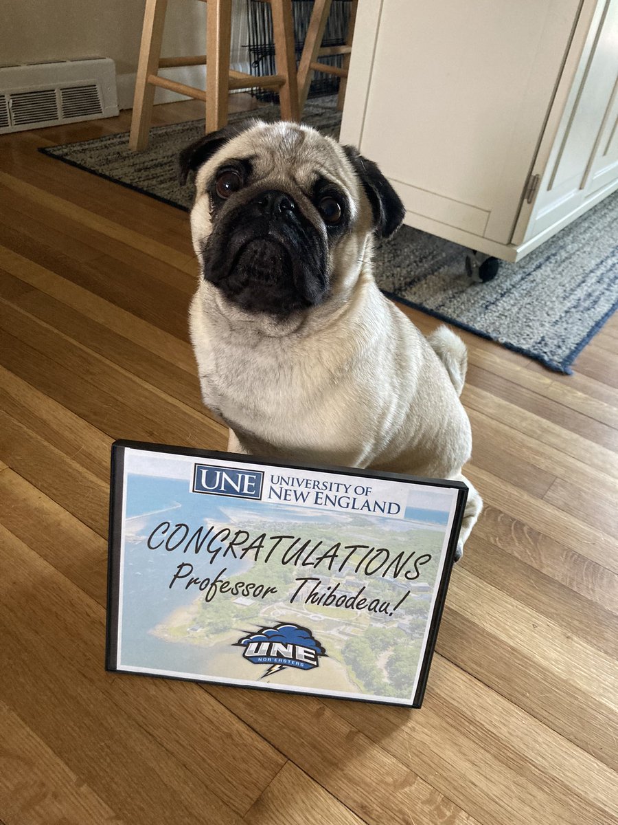 Dr. Tricia Thibodeau tweet media