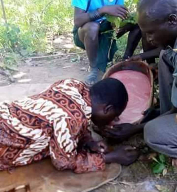 solo_ambuku's tweet photo. @Kenyans Kwani hawa #ODMcows of the #RailaCult faith, ni nani aliwalaani ....... ? No more #Maendeleo nonsense ! π€·πΎββοΈπΏπ€πΉπ‘π https://t.co/PrmN503Z1g