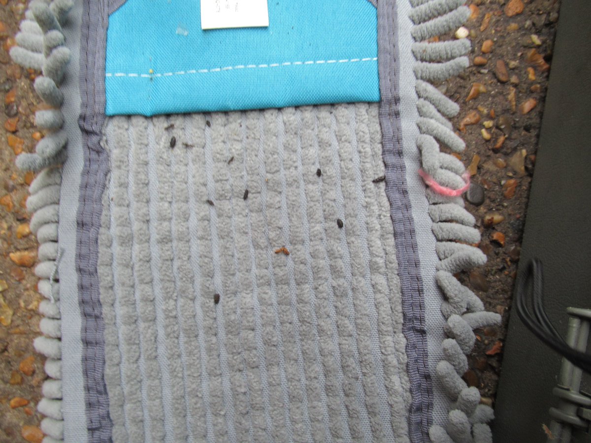 Waltham Forest Council tweet media