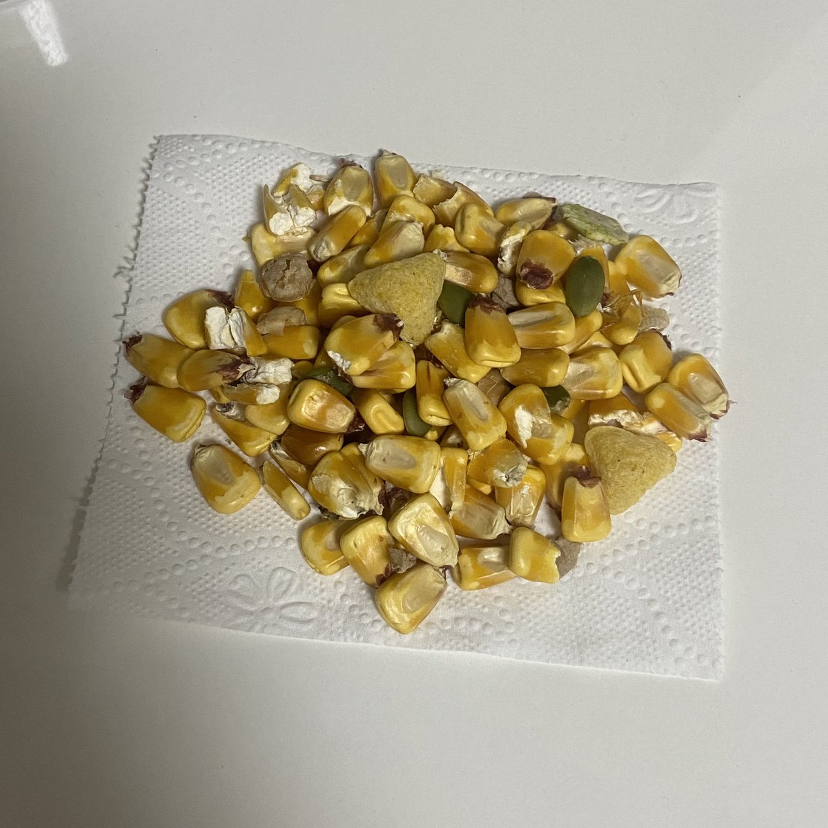 안녕하세요?
오늘 이녀석의 집에서 대량의 옥수수를 압수했단 소식입니다.