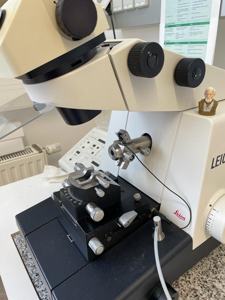 Eva Stoger's Lab tweet media