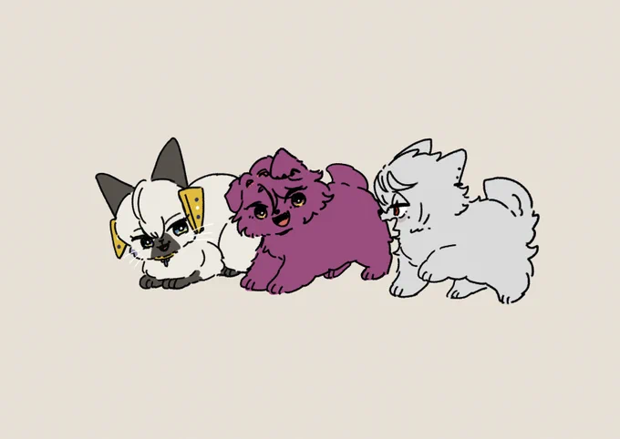ちまもふとひっば