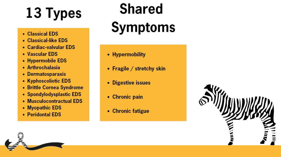 Even tough there are 13 types, they all have some shared symptoms 

#EDSAwareness #EhlersDanlosSyndromeAwarenessMonth