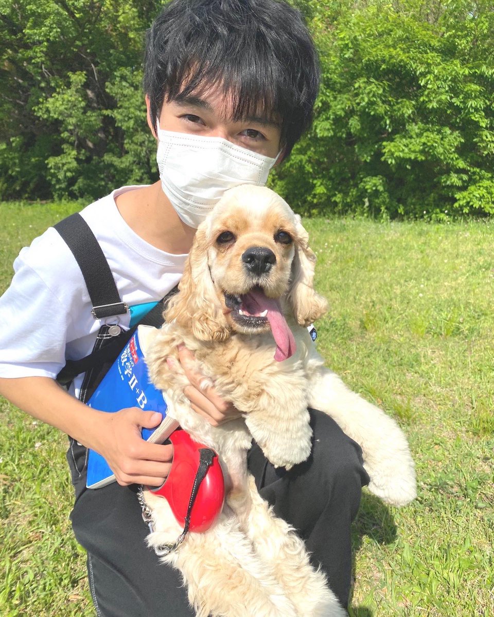 Candy20Little10's tweet photo. 今日は昭和記念公園で散歩して来ました。
僕のゴールデンウィークは今日限定。
明日からはまたちゃんと受験生します😅
#showakinenpark #昭和記念公園 
#アメリカンコッカー　#散歩　
#ゴールデンウィーク https://t.co/khPJoElOOR