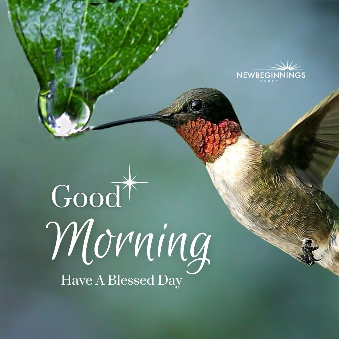 Good Morning Have A Blessed Day