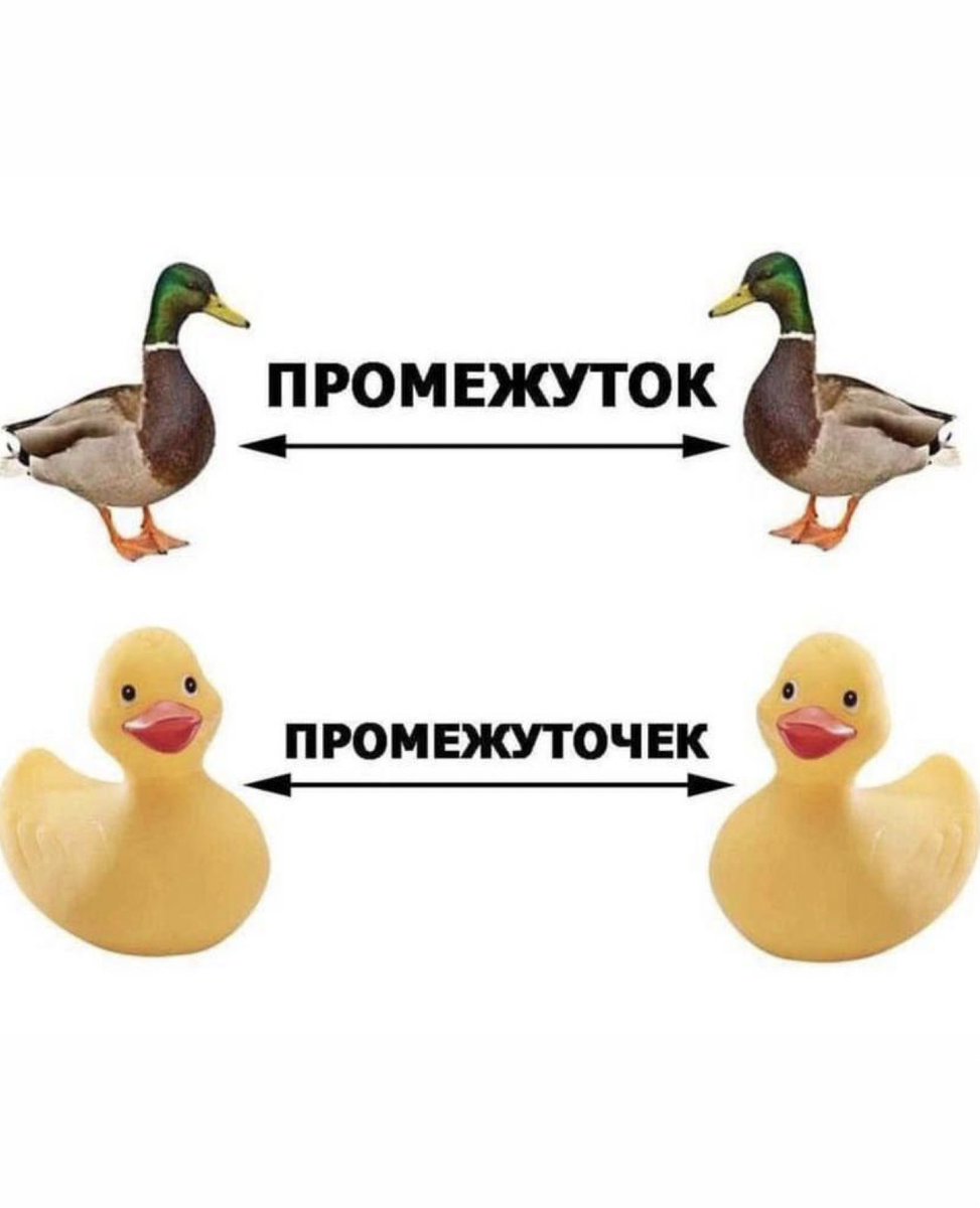 pashqqua's tweet photo. Сильное заявление. Опровергните? https://t.co/3kElVXaCXf