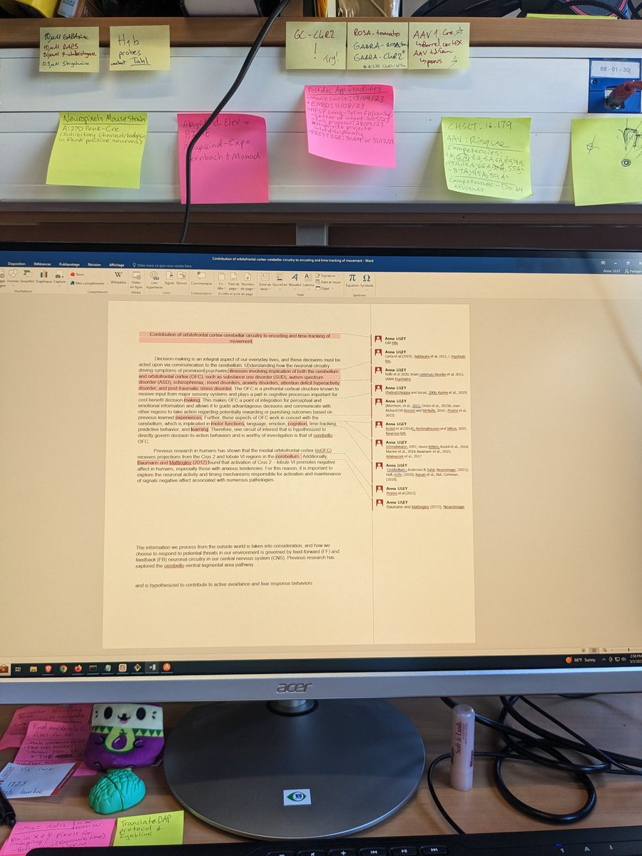 Dr. Anna Liley tweet media