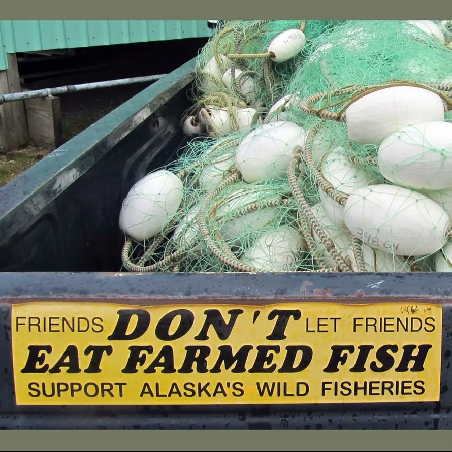 Seattle Marine tweet media