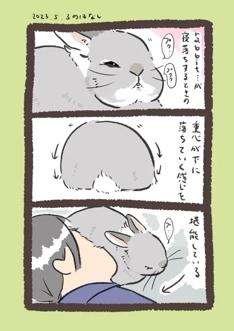 デバフman…の休日  #うさぎのいる生活