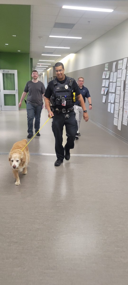 He's baaaaaaaaack!  Every few months this good boy decides to make a break from the car line inside OW. Today, he visited upstairs for some good scratches and pets. Thanks to SRO <a href="/QLockeWestOwls/">QLockeWestOwls</a> who went from <a href="/OlathePolice/">Olathe Police</a> to pup wrangler! <a href="/ADButlerOW/">ADButlerOW</a> <a href="/MaBlackOW/">Megan Black</a>