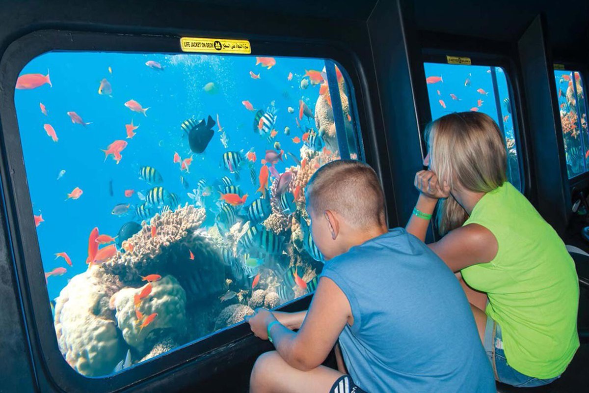 tour_tomy's tweet photo. Book now a three-in-one trip in Hurghada 🔥⛱️

Bathyscaphe &amp; Submarine &amp; Sea Scope

One hour underwater on the lower deck
One Stop for swimming
One Soft drink

Book Online NOW

https://t.co/Z2MMcsn3wv

#Tomy_Tour #Trips #Hurghada #Submarine #Sea_Scope #Snorkeling https://t.co/b3qU4L2unM