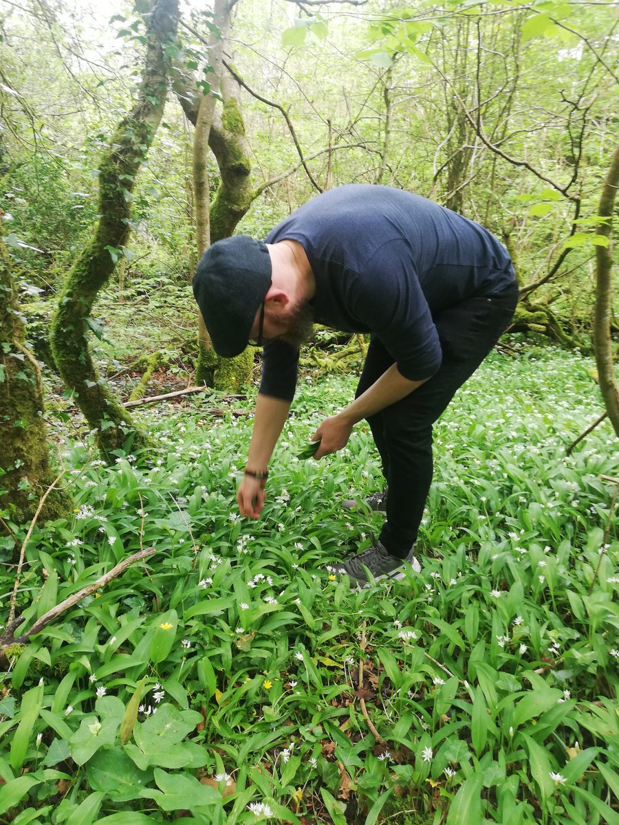 Daisy Spencer tweet media