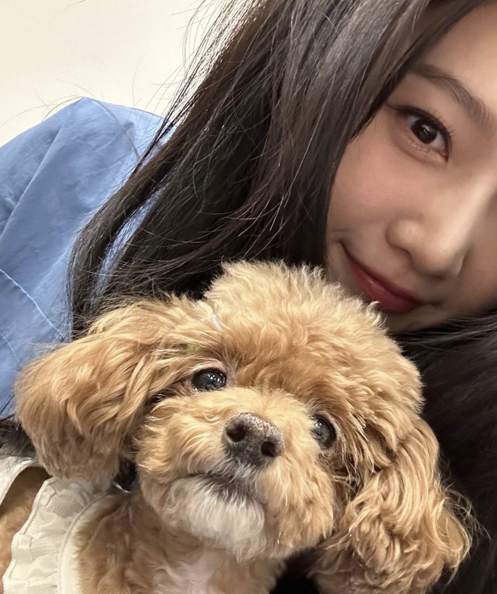 *sent a picture*

Tadaaa ✨💛