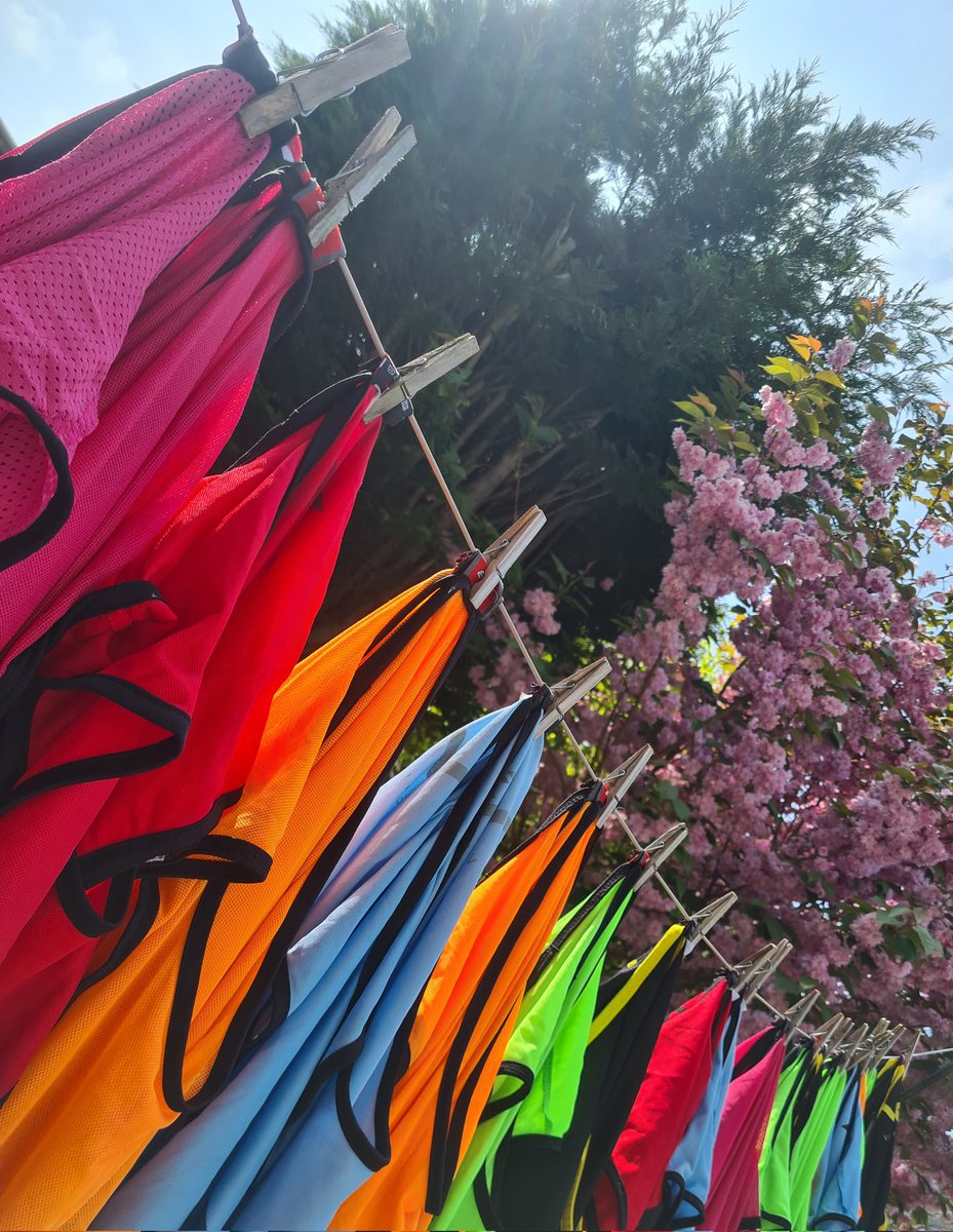 TyphoonRugby's tweet photo. 🦜Typhoon Touch in May🦜

Everyone loves a Bank Holiday...and there's three of them in May. Even the bibs enjoy a day off in the sun. 

We'll be closed on the bank holidays but open the other Mondays.  Stay tuned for a special deal for our May sessions.

#TouchRugby https://t.co/m77BEb2Od9