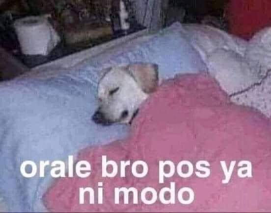 yo cuando veo algo q m dolió pero ya no estoy dispuesto a hacer nada: