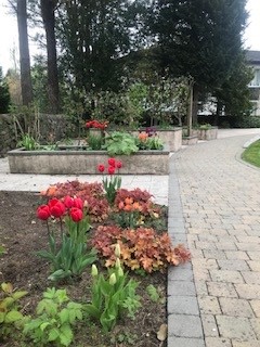 cloberfarmSIS's tweet photo. Bob's been hard at work again!!
New planting at @cloberfarmSIS is blooming lovely!!
#backingyouforlife #spinalinjuriesscotland #accessibleaccommodation #accessibletravel #wheelchairaccessible #accessibleholidays #milngavie #accessibleholidayescapes #disabledholidays https://t.co/aj5SBaKgDE