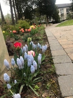 cloberfarmSIS's tweet photo. Bob's been hard at work again!!
New planting at @cloberfarmSIS is blooming lovely!!
#backingyouforlife #spinalinjuriesscotland #accessibleaccommodation #accessibletravel #wheelchairaccessible #accessibleholidays #milngavie #accessibleholidayescapes #disabledholidays https://t.co/aj5SBaKgDE