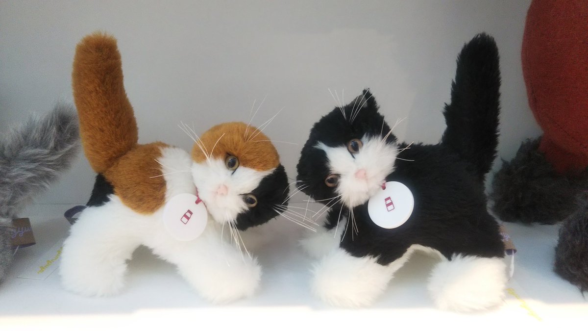 gyunyuya ぬいぐるみ gyunyuya cat #cats #stuffedcat #stuffedart #gyunyuya_cat #猫