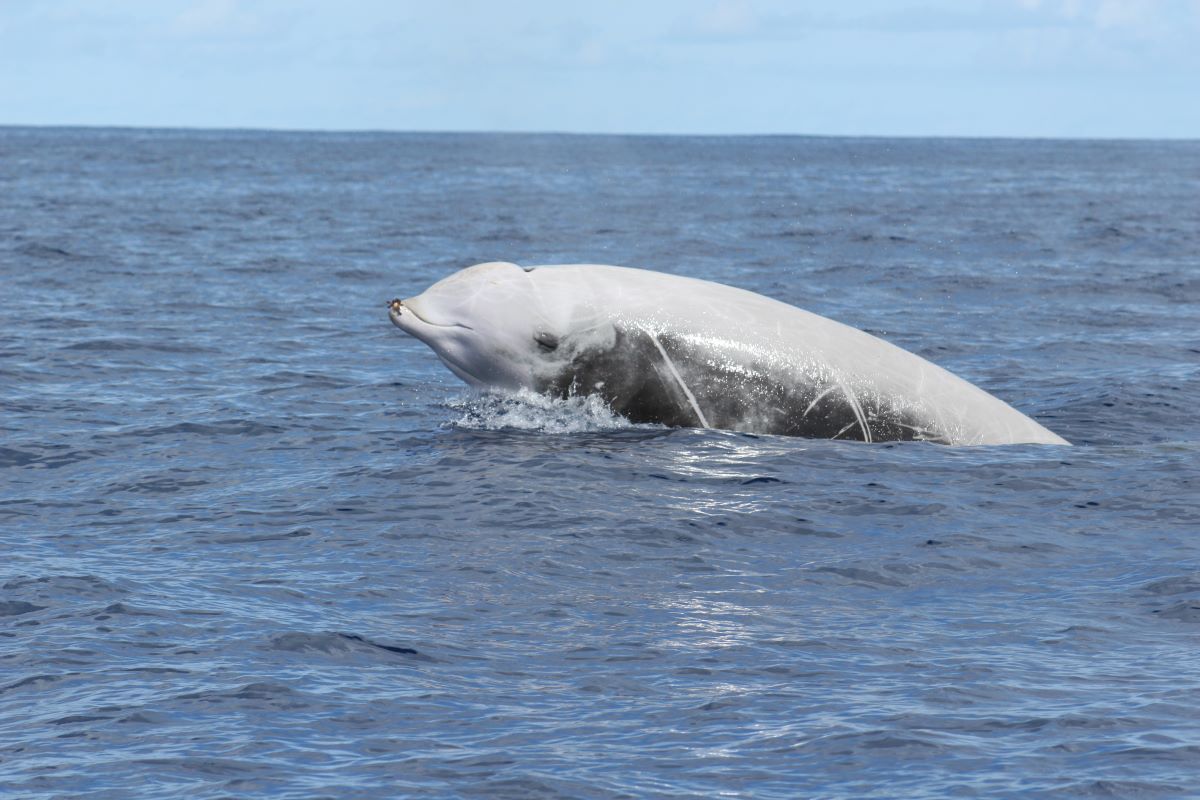 Universidad de La Laguna tweet media