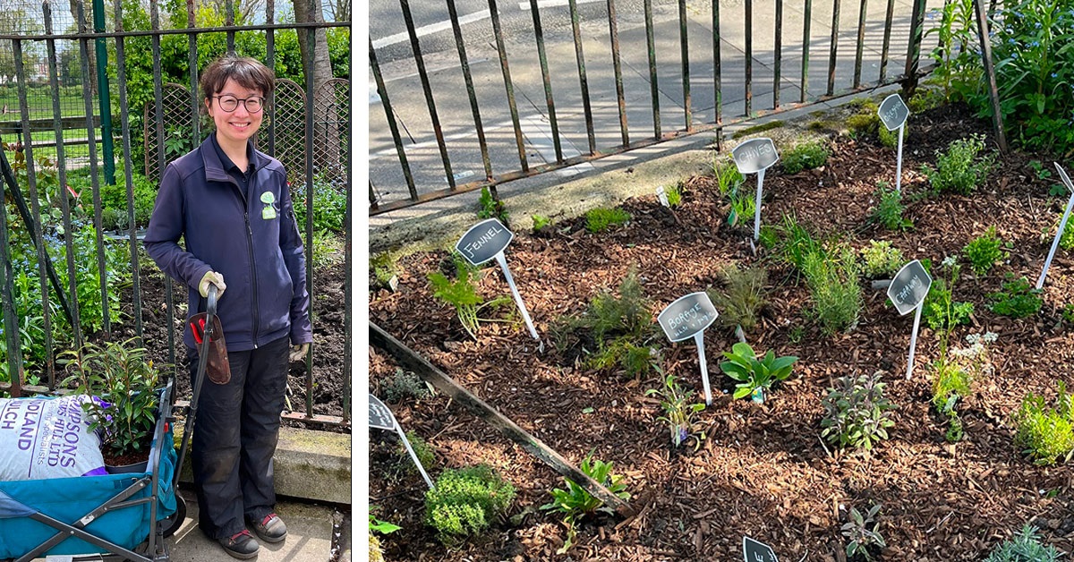 Many thanks to Erica Luke and her team of volunteers from Hammersmith Community Gardens for setting up our fabulous new herb garden – and to the Friends of Wendell Park for doing the planting. Our meals for the homeless are about to get even better! <a href="/WendellParkGF/">WP Gardening Friends</a> <a href="/HCGAGardens/">HCGA</a>