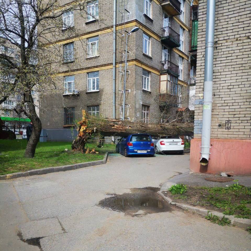 Актера придавило машиной