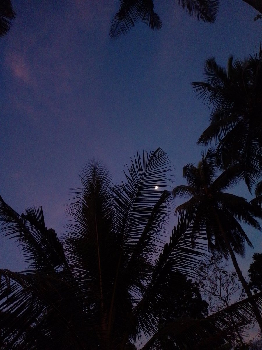 narattor18's tweet image. Pinneyum pinneyum aakasham. :)🙂🤍

.

#randompics 📸