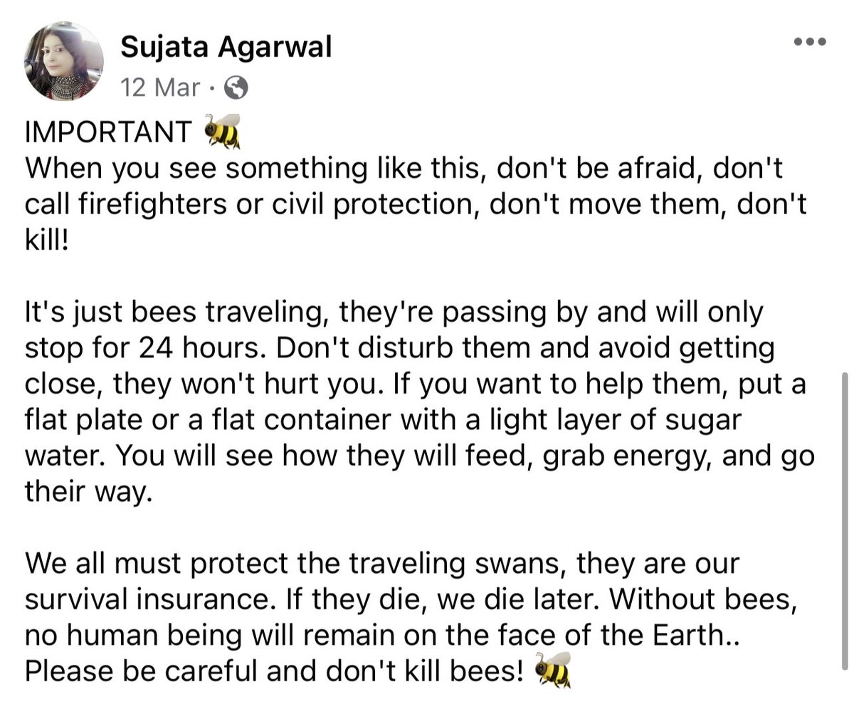 DawnMillerMusic's tweet photo. Donโt kill bees. Ever. We have no future without them.
#dontkillbees #bee #SaveTheBees #planetearth #MotherlandFortSalem #SaveMotherlandFortSalem https://t.co/dIaWZwsnj7