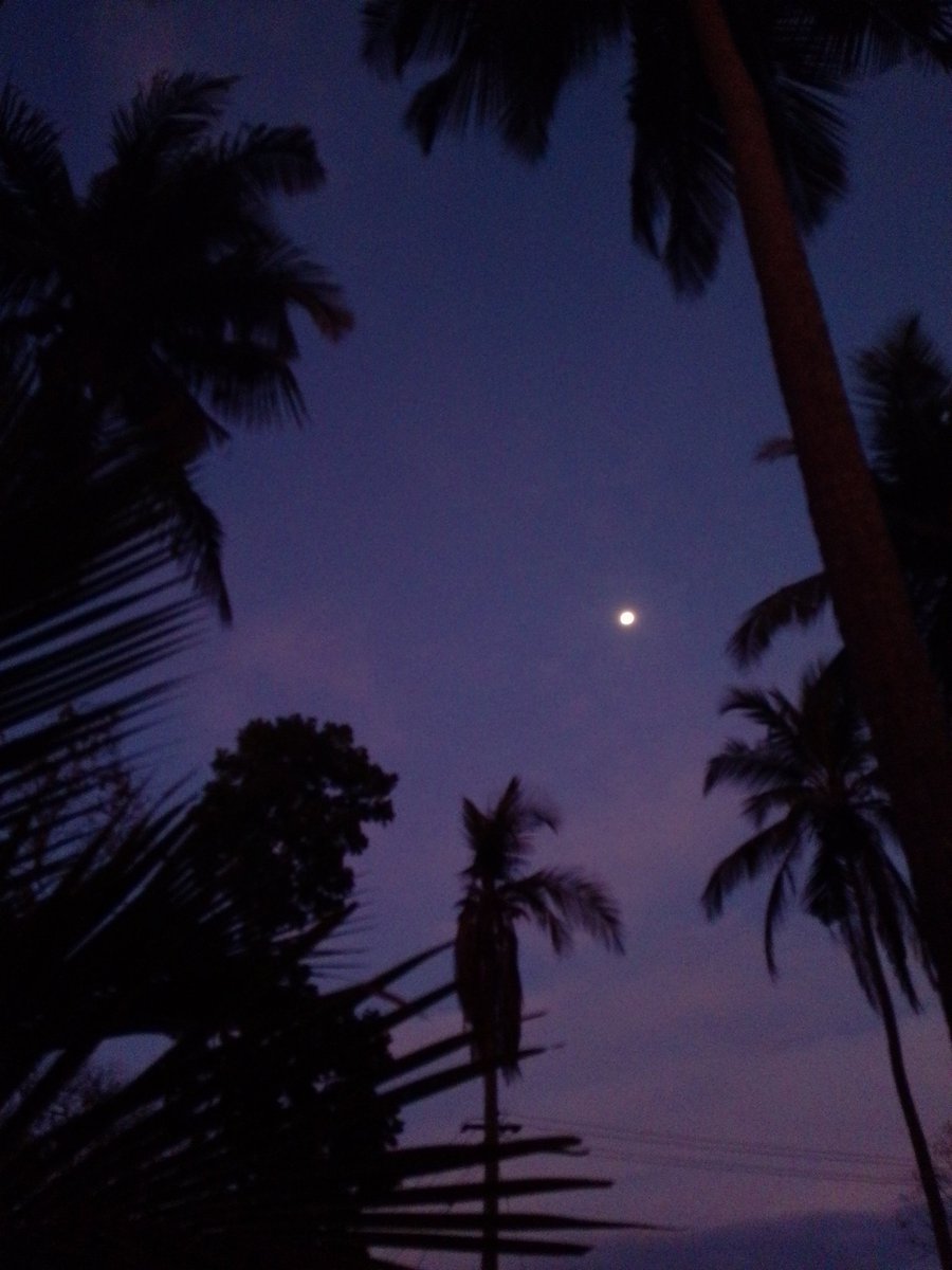 narattor18's tweet image. Pinneyum pinneyum aakasham. :)🙂🤍

.

#randompics 📸