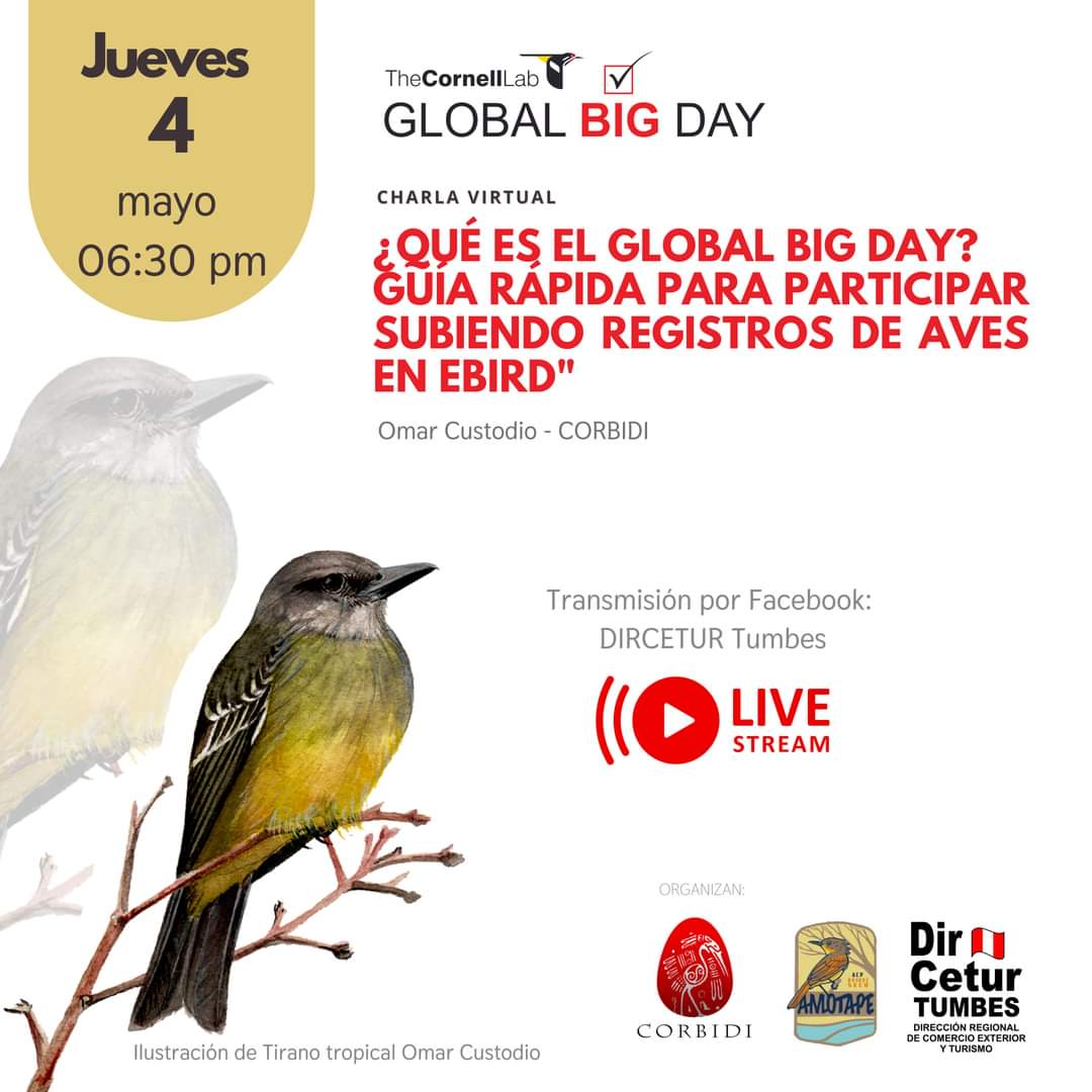 Alejandro781101's tweet photo. ¿Qué es el global big day? Guía rápida para participar subiendo registros de aves a eBird.
Registrate para que te enviemos el link de la transmisión: https://t.co/R4Q7b5kj9O
 
#GlobaBigDay #corbidi https://t.co/ZyChz7HNRc