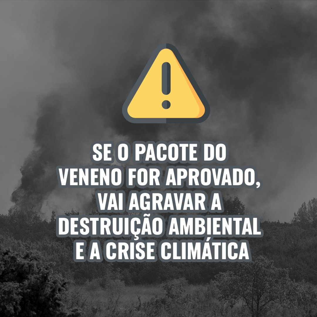 wwfbrasil's tweet photo. 🚨 Seguimos atentos e vigilantes! 🚨

Começa uma nova mobilização contra o Pacote do Veneno. Junte-se a nós e pressione para que esse PL não avance. Não queremos mais agrotóxico na nossa comida e no meio ambiente! #NãoAoPacoteDoVeneno https://t.co/RtgcUd9krm
