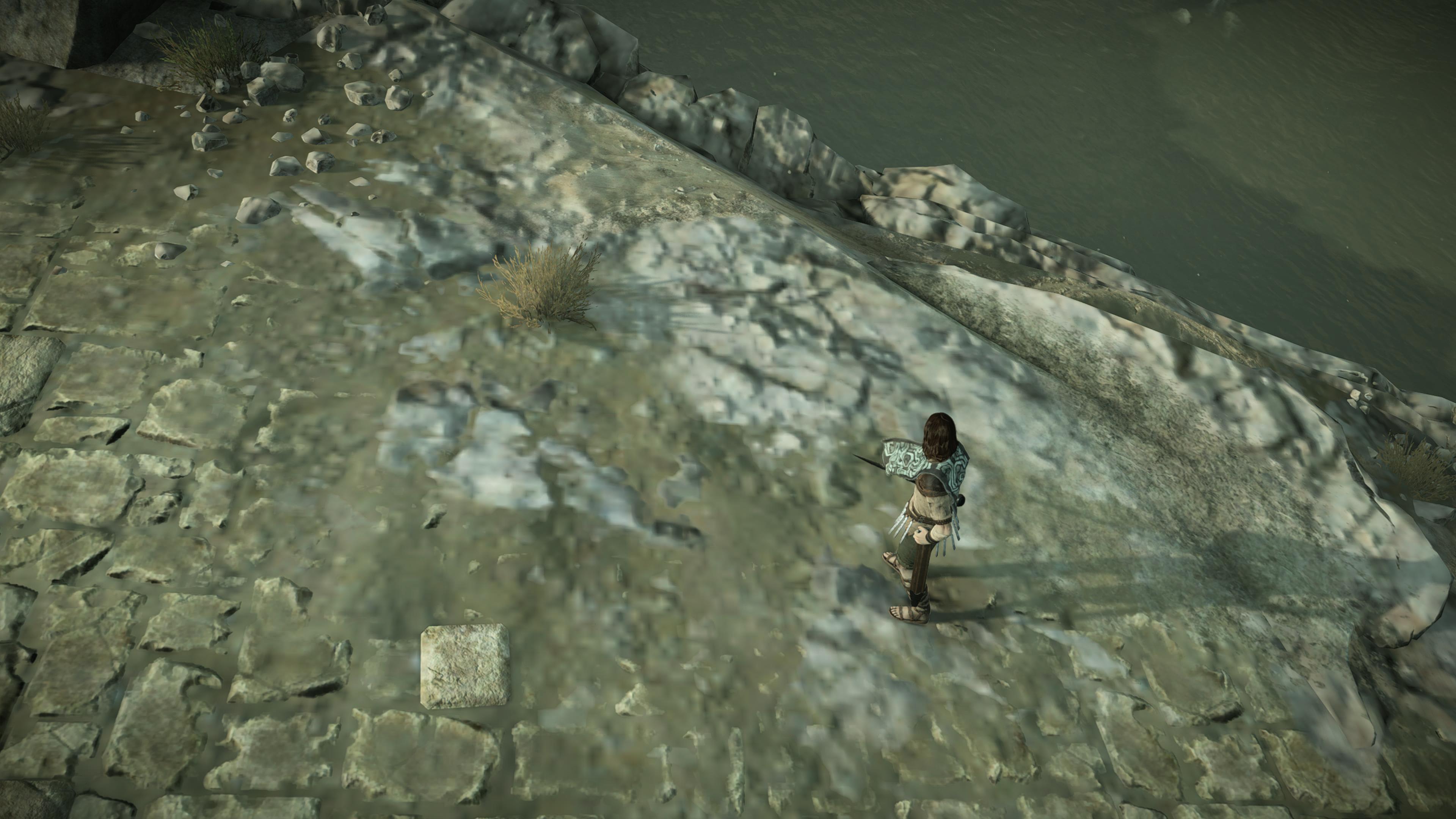 Shadow Of The Colossus texture streaming issues has been fixed on PS5 BC  (Update: Issue not totally fixed see threadmark)