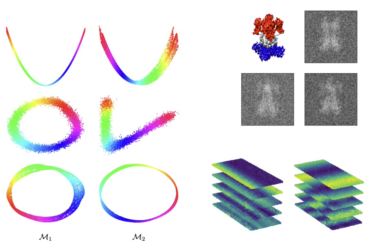 One World Cryo-EM Online Seminars tweet media