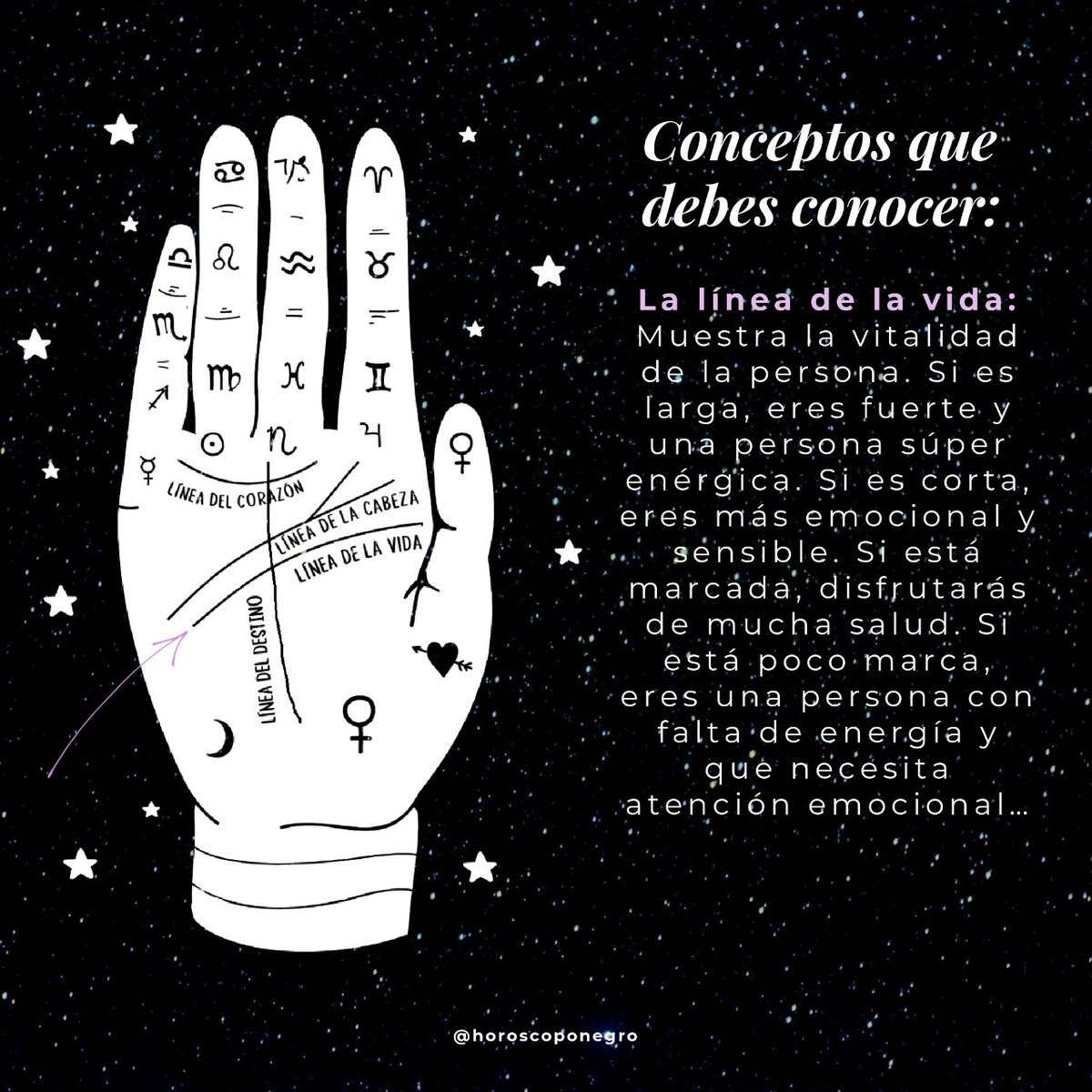 horoscoponegro's tweet photo. Seguro que alguna vez has intentando leer las líneas que hay en tu mano ✋🔮 Aquí vas a encontrar una pequeña guía básica para aprender sobre quiromancia ✨

¿Hay algo más que quieras saber sobre ello? 💫 https://t.co/Es6H0lAjtC