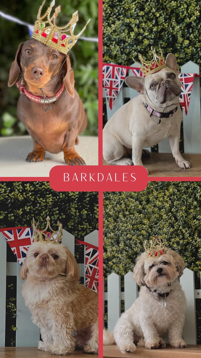 Barkdales Luxury Dog Nursery tweet media