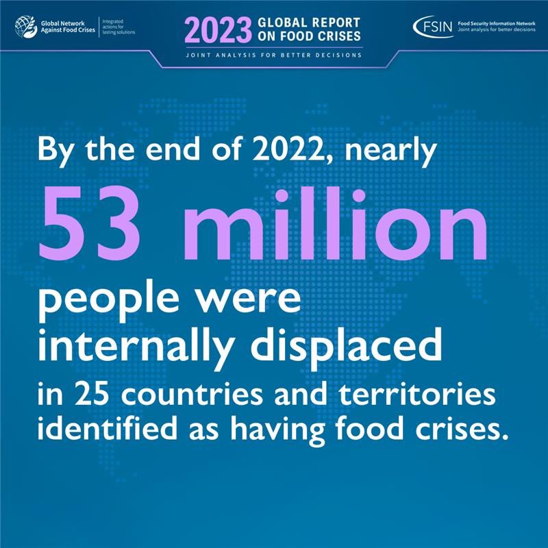 UNMigrationData's tweet image. 📈🌾While food insecurity has increased worldwide, displaced populations are often among the most vulnerable to acute food insecurity and malnutrition.

📢Out NOW: The Global Report on Food Crises 👇

migrationdataportal.org/resource/globa…

#fightfoodcrises #GRFC  #MigrationDataPortal…