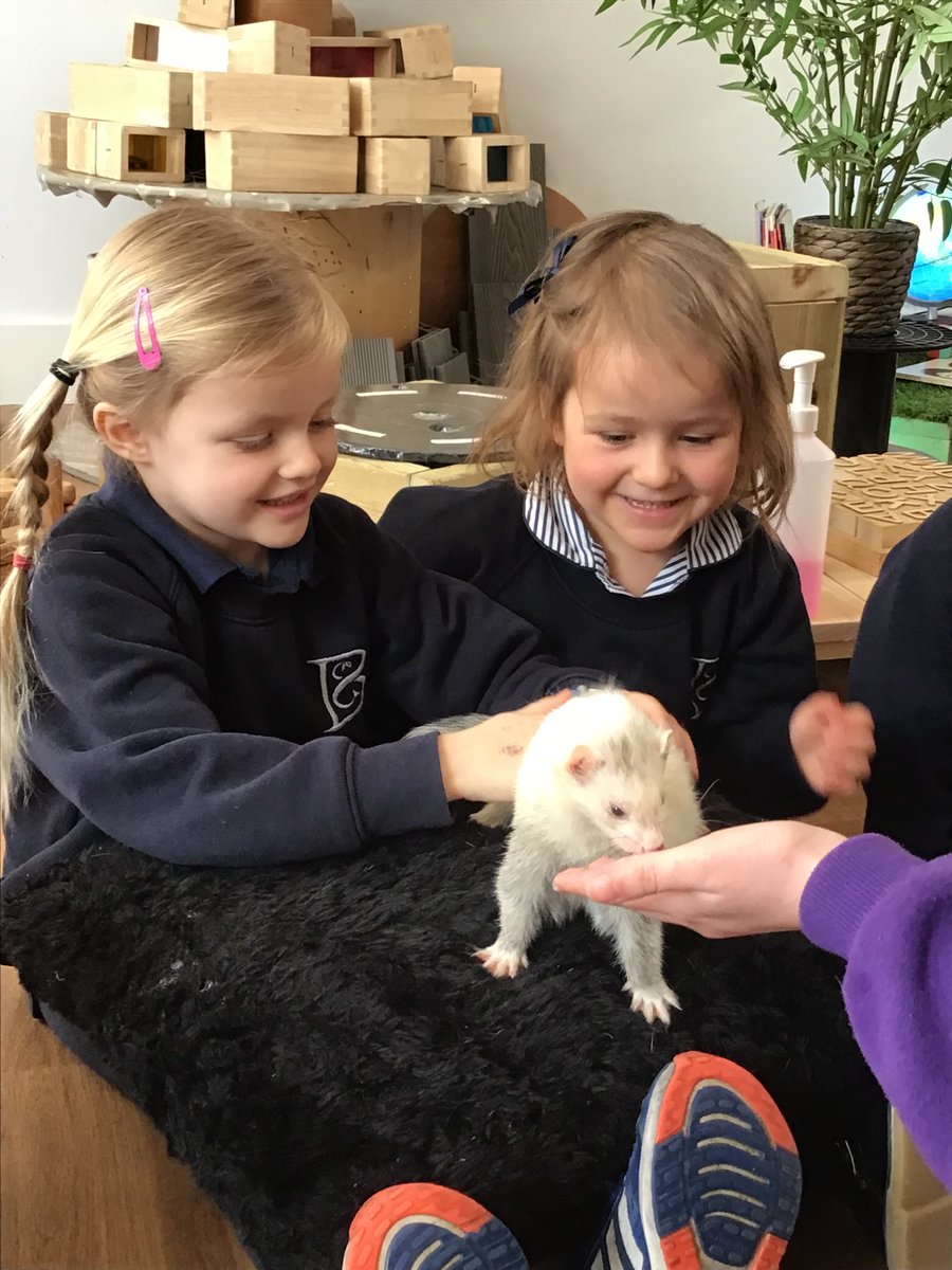 BCS Prep tweet media