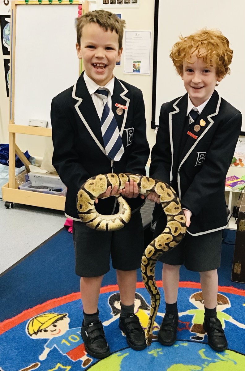 BCS Prep tweet media