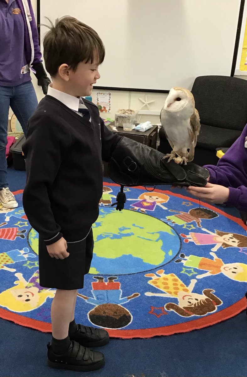 BCS Prep tweet media