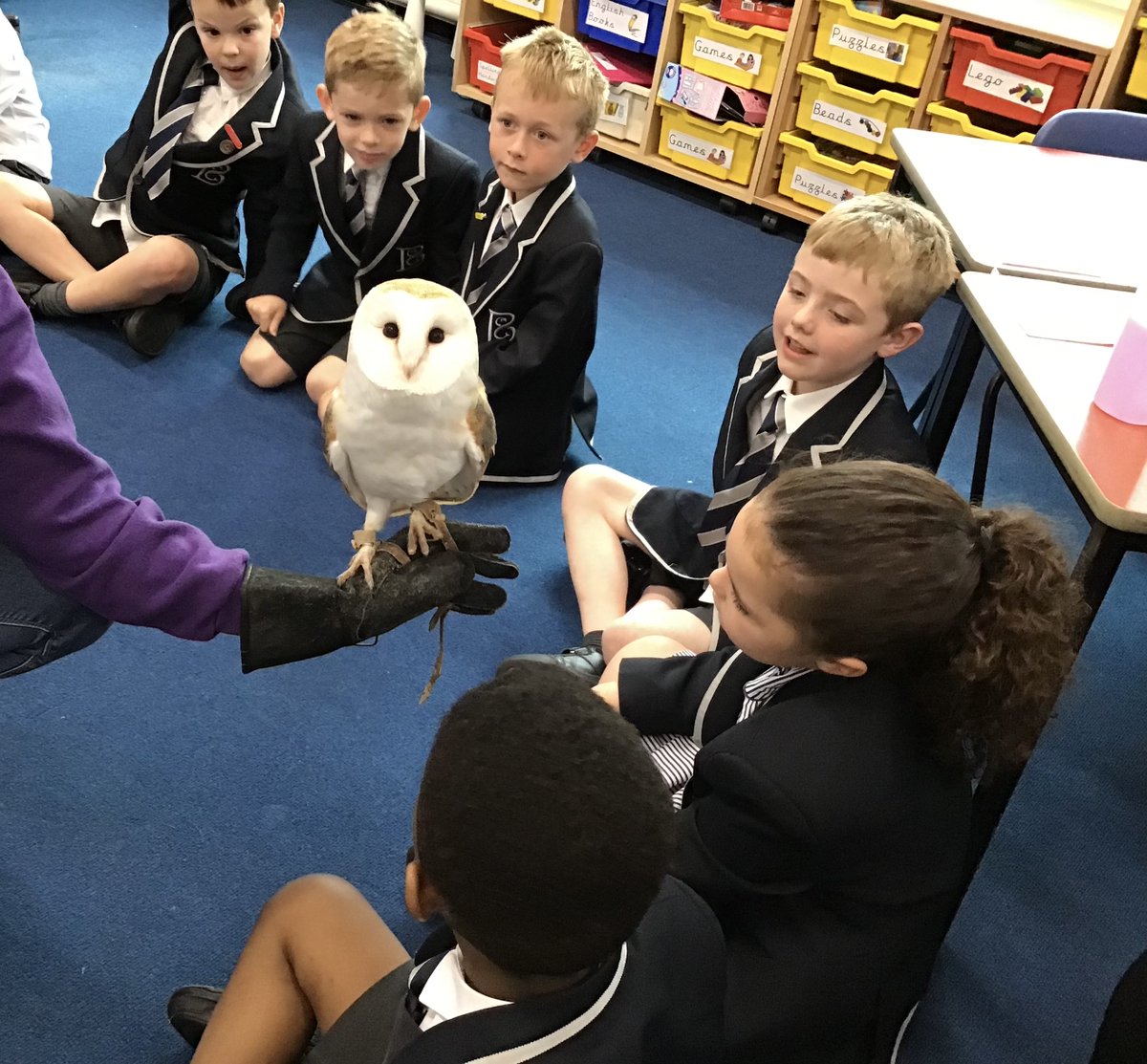 BCS Reception and Year One pupils have been discovering the many wonders of the animal kingdom over the last couple of weeks, meeting and learning about a whole host of different species 🤩🦉

#AnimalKingdom #Prep #BCS