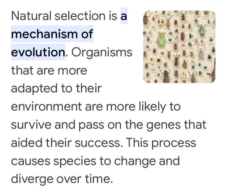 Humble Hal on Twitter "Every day there are fewer Baby Boomers, such as