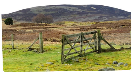 Join us with <a href="/Gameandwildlife/">The Game & Wildlife Conservation Trust</a> and <a href="/Nofence_AS/">Nofence</a> on the 7th June for a farm walk and talk, to learn about grazing strategies, and a demonstration of virtual fencing technology without the need for fencing.

gwct.org.uk/events/calenda…