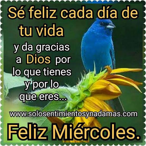 ☀️🙃 Disfruta con alegría cada minuto de tu VIDA ♥️🍀