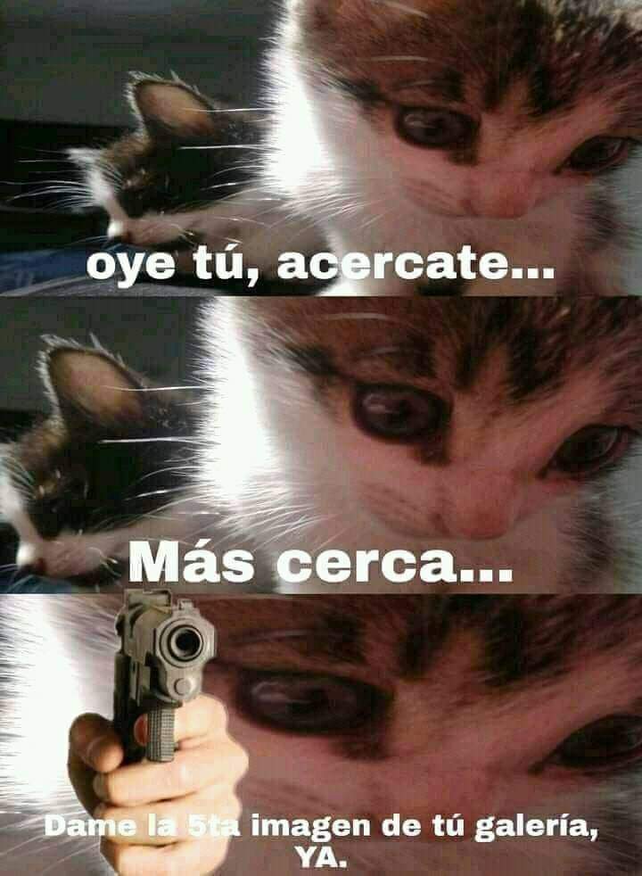 Memes Universidad Nacional tweet media