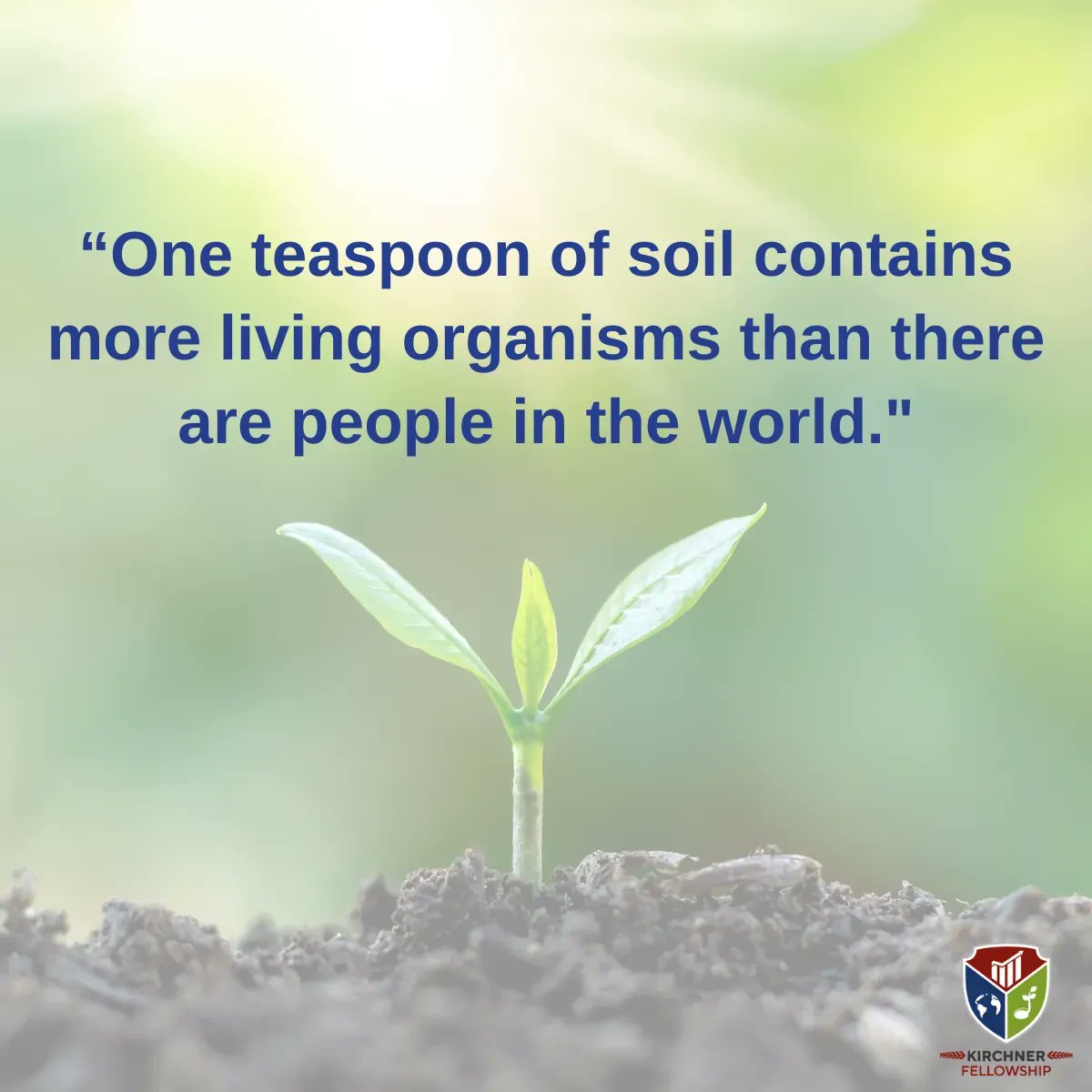 The power of soil 🌱